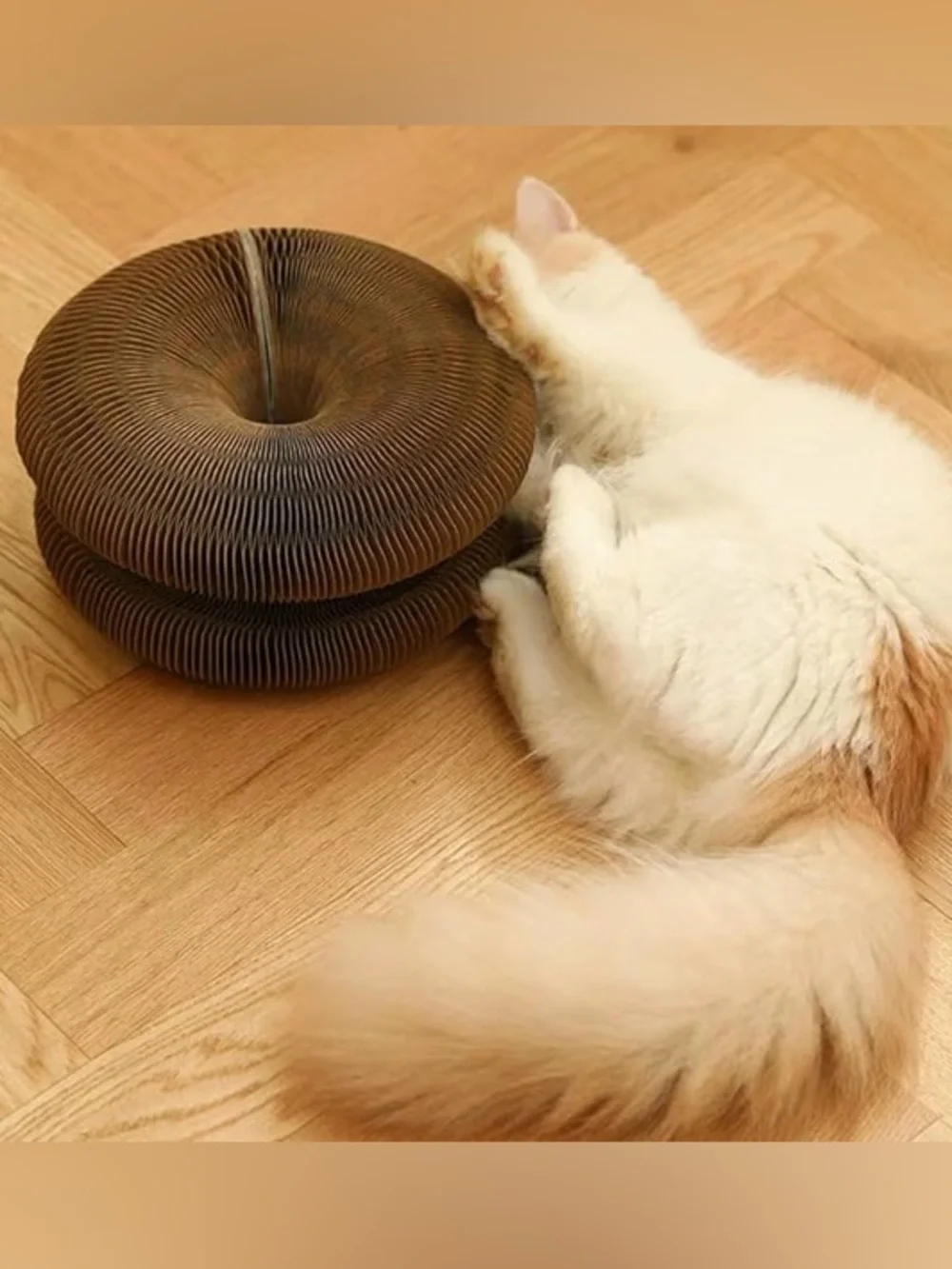 Cat Toy Interactive Ball Track